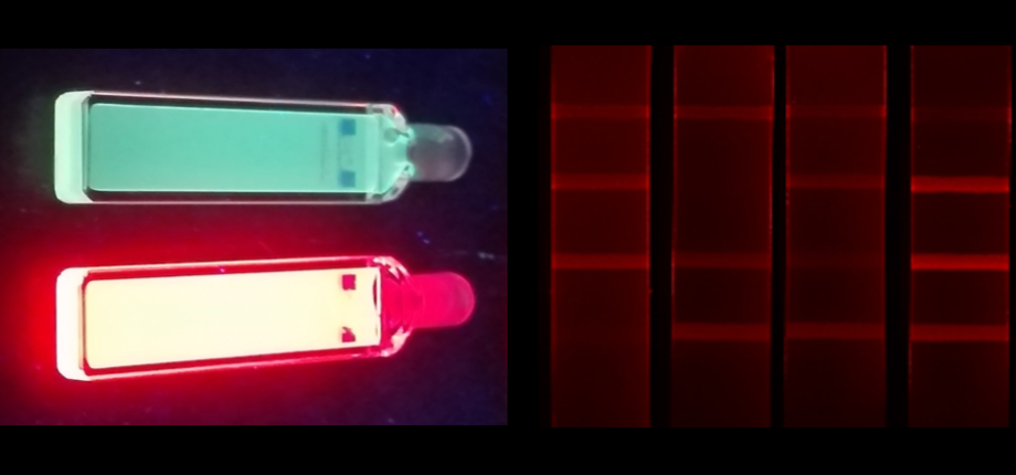 Détection in vitro de biomolécules