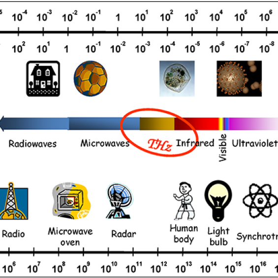 Terahertz spectroscopy and imaging
