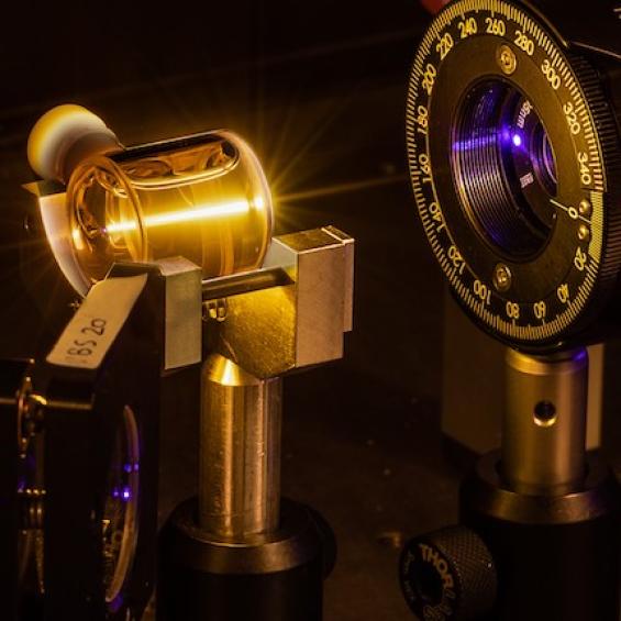 Dynamique des biomolécules