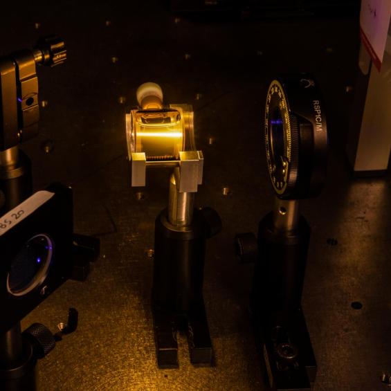 Protein and DNA folding dynamics probed by time-resolved circular dichroism